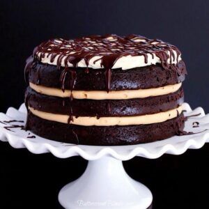 Chocolate Irish Tipsy Cake